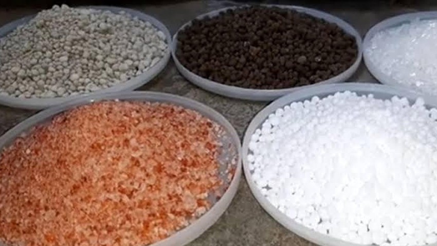 সরকারি বরাদ্দের চেয়ে সার চাহিদা কয়েকগুণ বেশি, আদমদীঘিতে হিসাব নিয়ে গরমিলের অভিযোগ